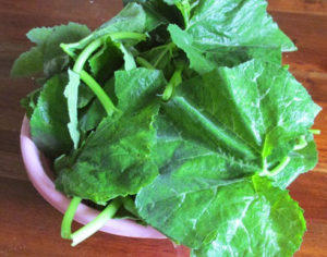 Young pumpkin leaves and stems