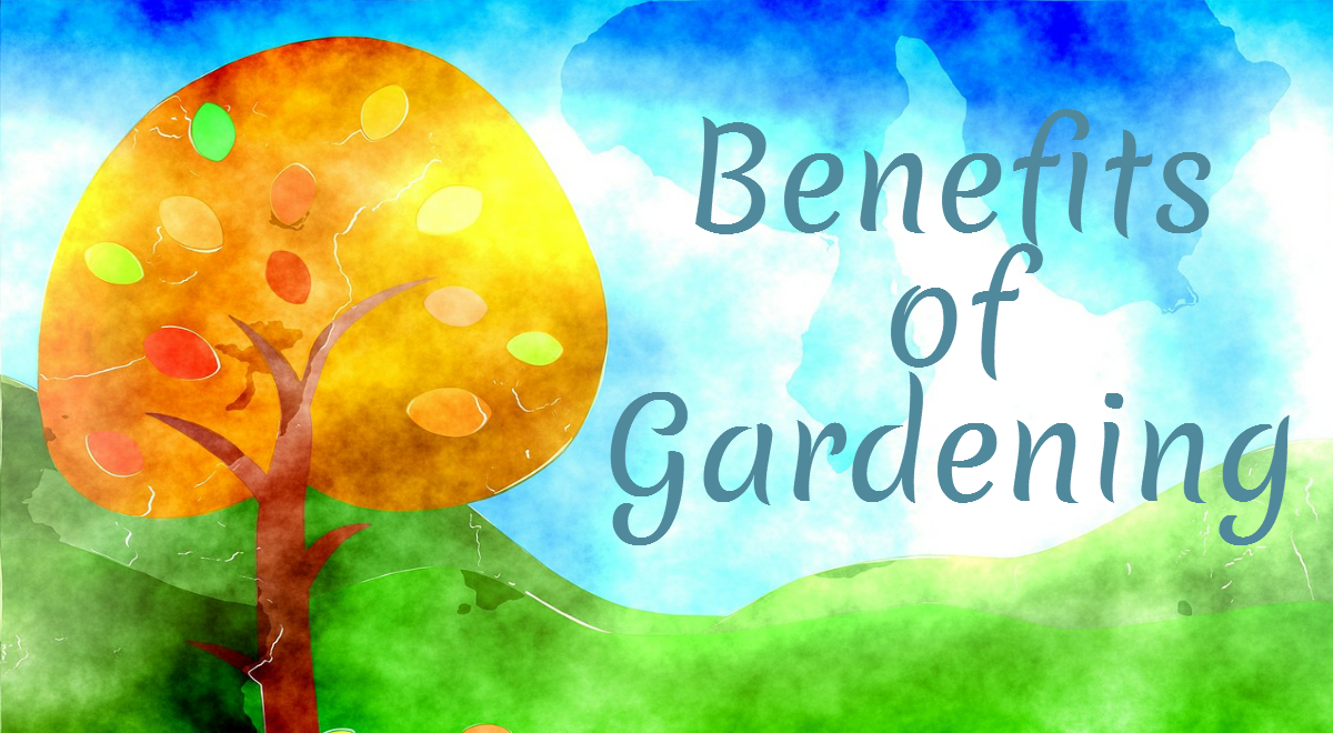 Benefits Of Gardening : Infographics - Terrace Gardening The Organic Way