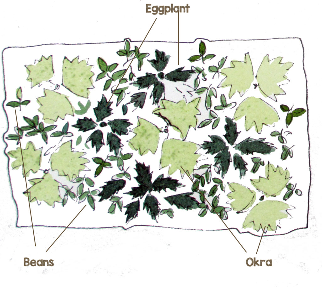 Layering the raised bed with plants of different height is a great way of protecting garden soil