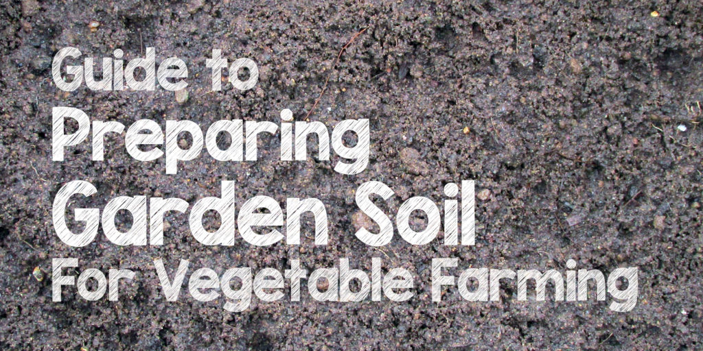 how-to-prepare-garden-soil-for-organic-vegetable-garden