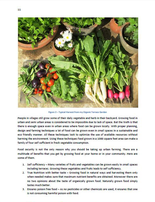 organic urban farming book page sample