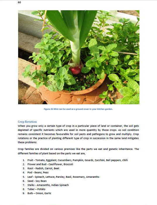 organic urban farming book page sample