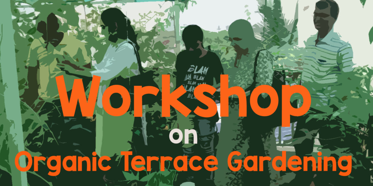 Terrace Gardening Workshop Announcement