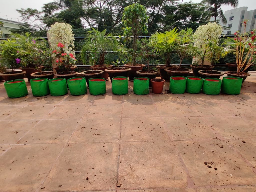 Containers lined up