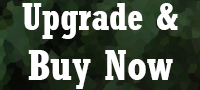 Buy Now upgrade three months