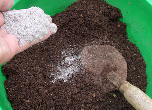 Wood ash helps to bring down acidity level. - Terrace Gardening the ...