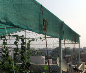Coir Ropes used on top of shade cloth for guarding against strong winds