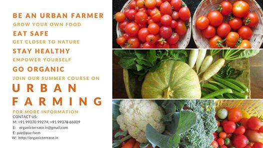 Announcing Summer Course on Urban Farming