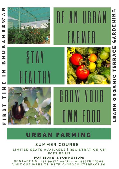 Urban Farming and Organic Terrace Gardening Workshop in Odisha
