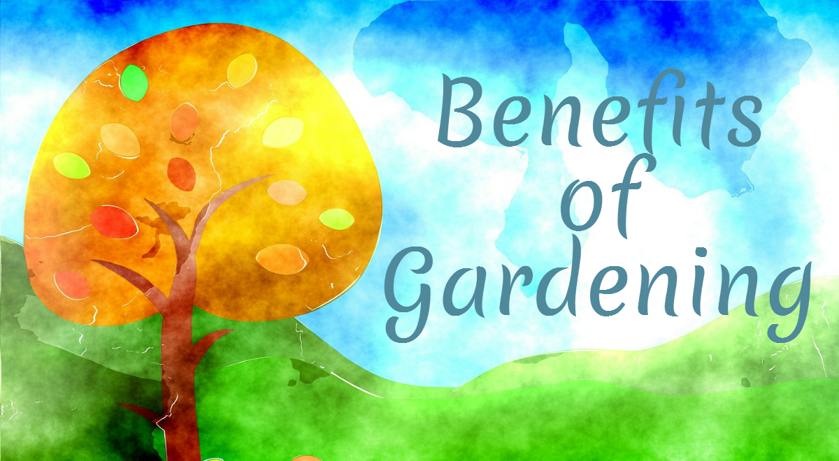Benefits of Gardening : Infographics