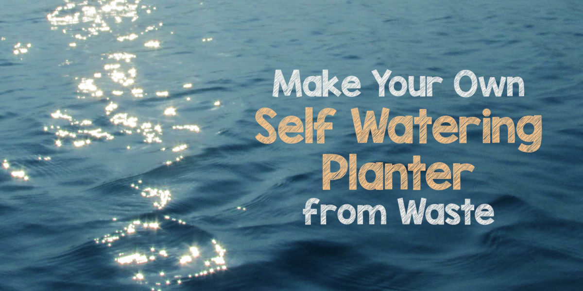 Make your own self watering planter