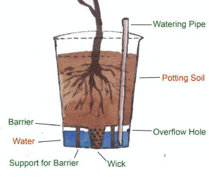 Wick based Self Watering Container cross section
