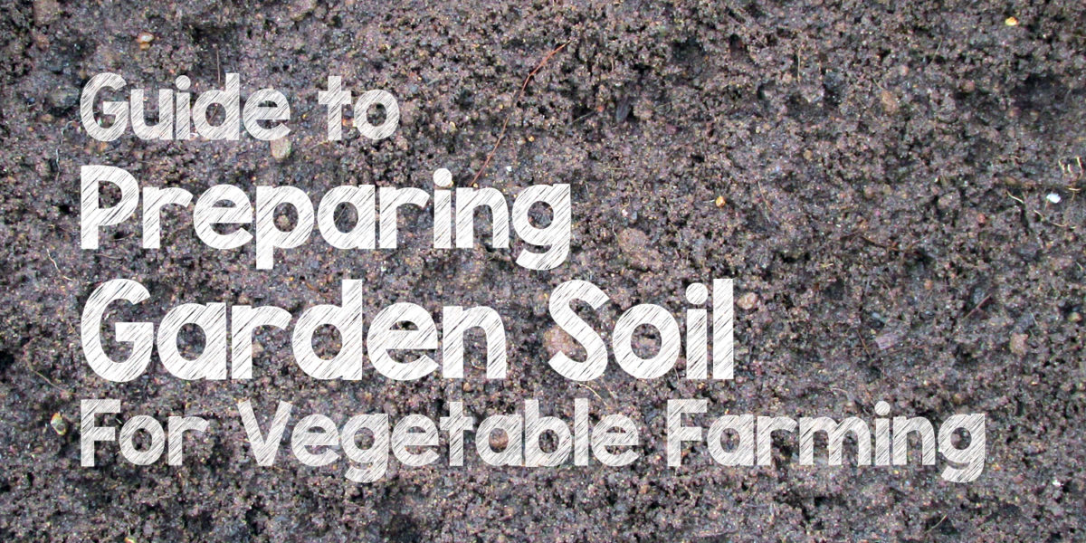 Garden soil preparation for organic vegetable farming