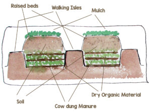 Prepare raised beds by burying layers of organic material