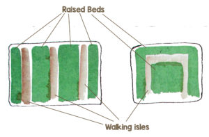 Divide your garden into raised beds and walking isles