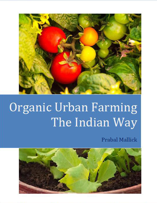 organic urban farming book cover