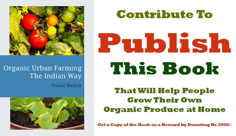 Donate to publish book on organic urban farming