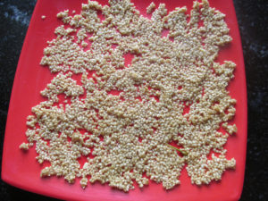 Dry the seeds on a plate