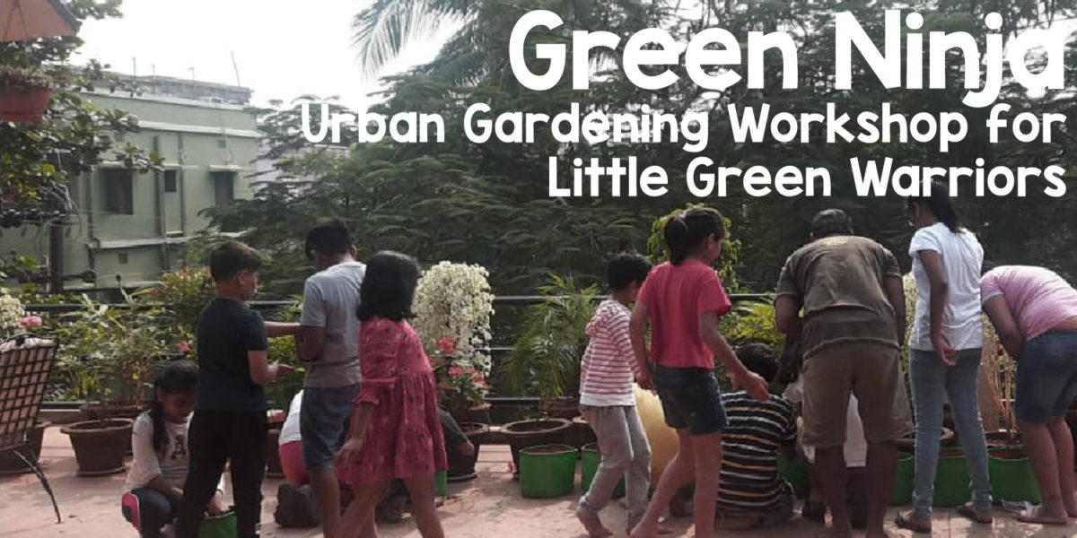 Green Ninja – The Urban Farming Workshop for Kids