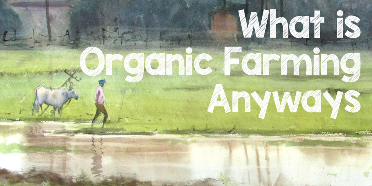What is Organic Farming Anyway